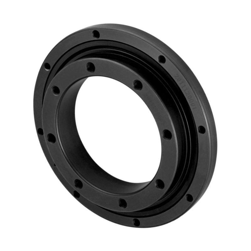 Black circular mechanical component with evenly spaced holes around the outer edge, viewed at an angle on a light gray background.